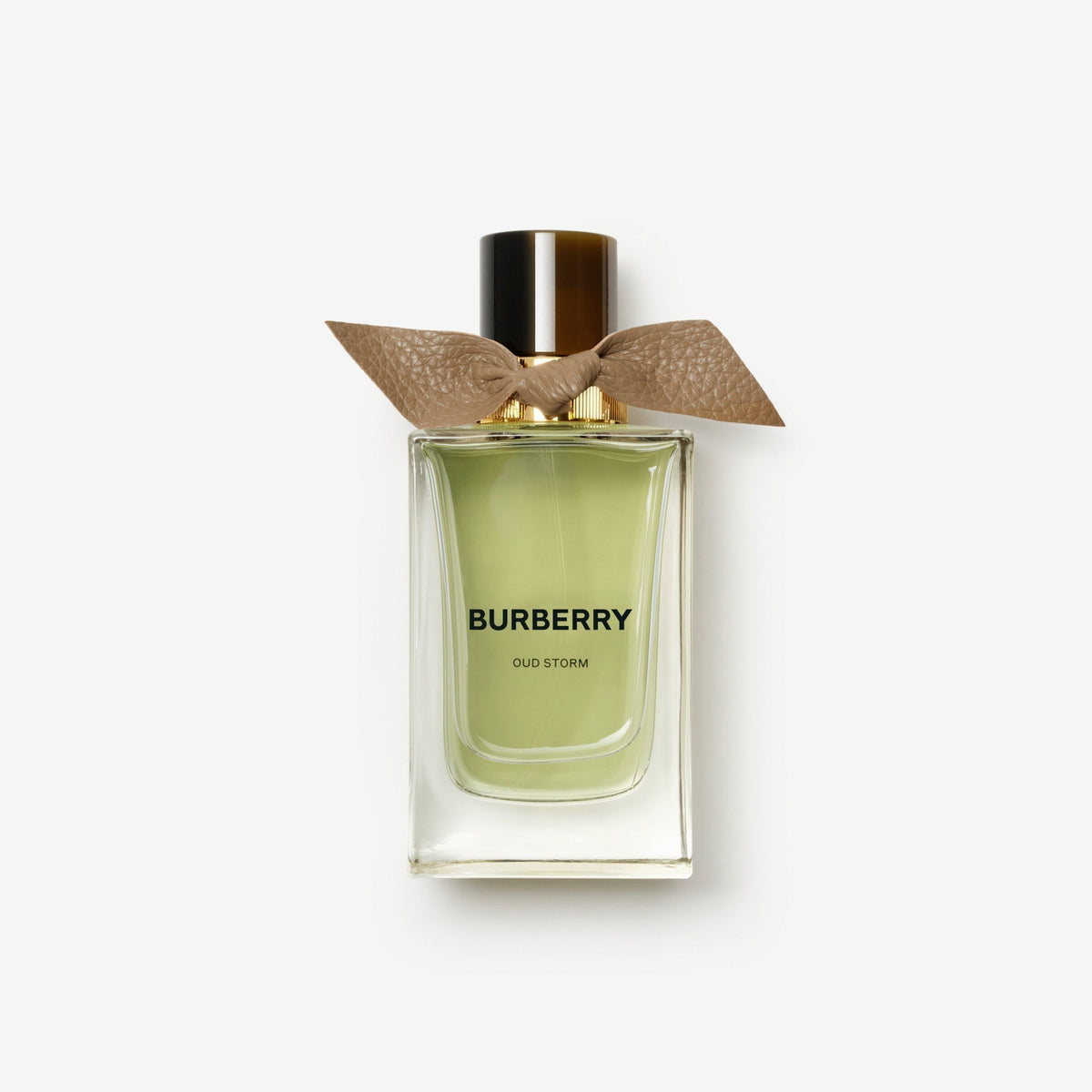 Burberry Signatures Extreme Botanicals Oud Storm Eau de Parfum fragrance — view 1