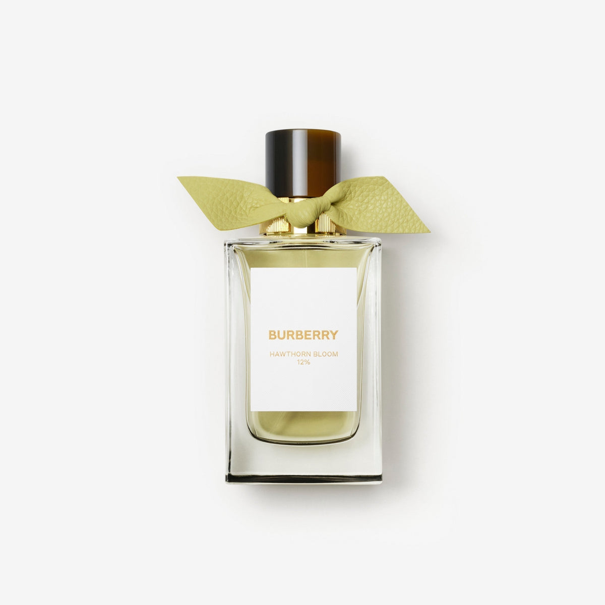 Burberry Signatures Hawthorn Bloom Eau de Parfum Collectable Limited Edition fragrance — view 1